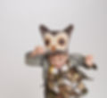Owl Costume_edited.jpg